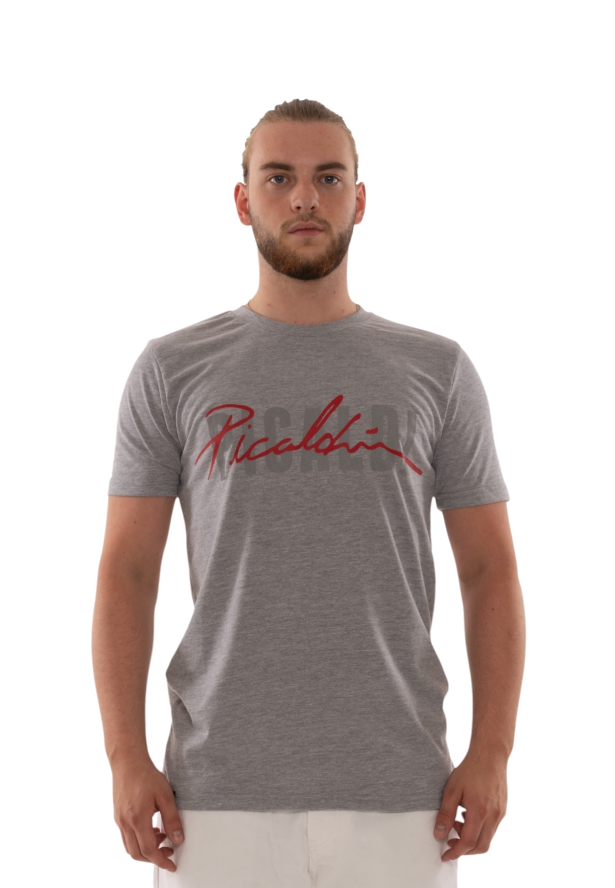 Picaldi Herren T-Shirt Collection Grey XXL