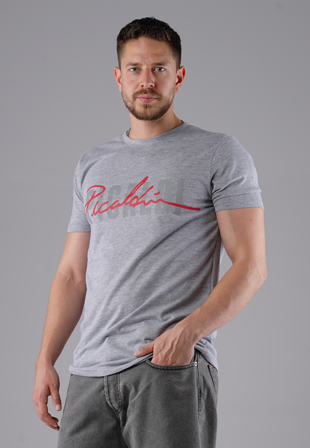 Picaldi Herren T-Shirt Collection grey S