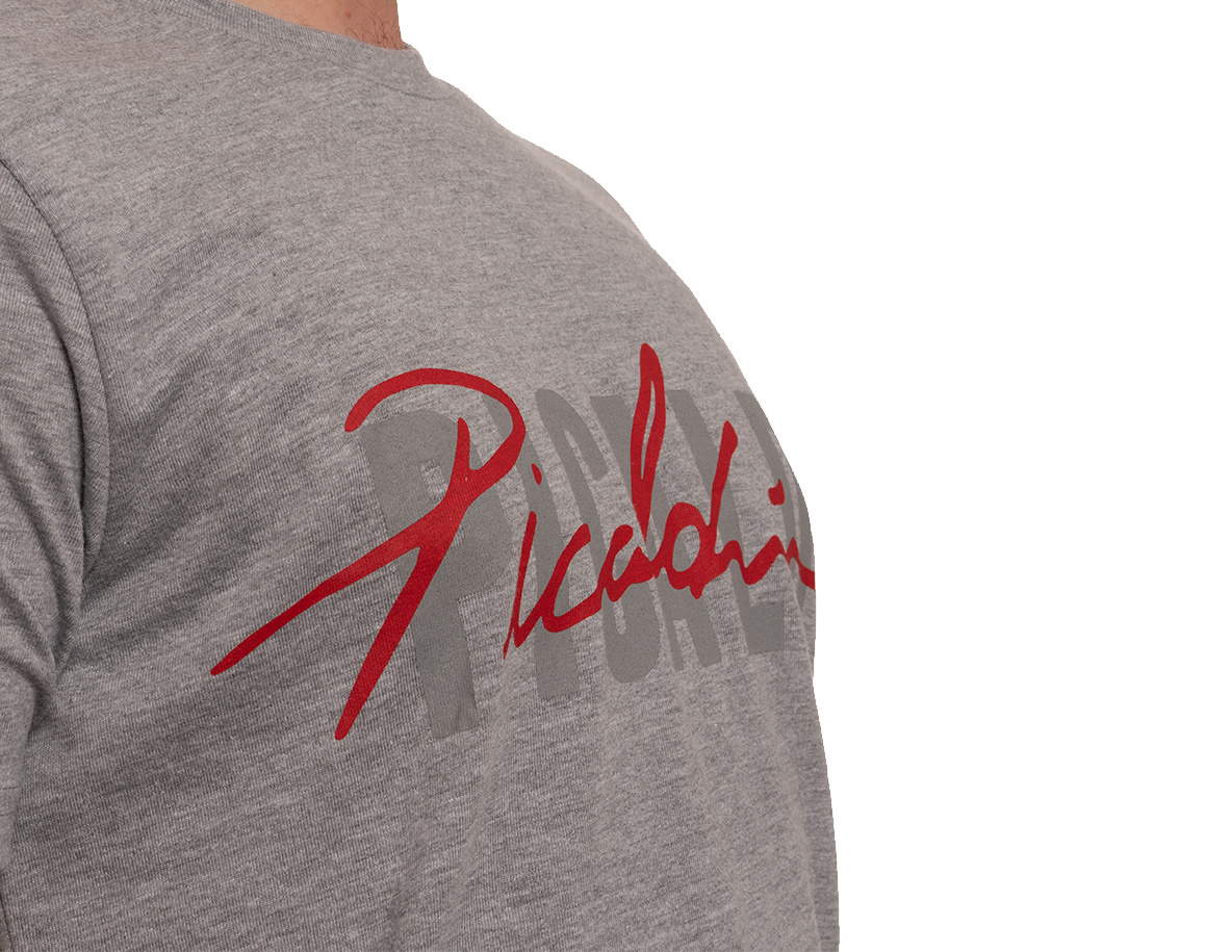 Picaldi Herren T-Shirt Collection Grey XXL