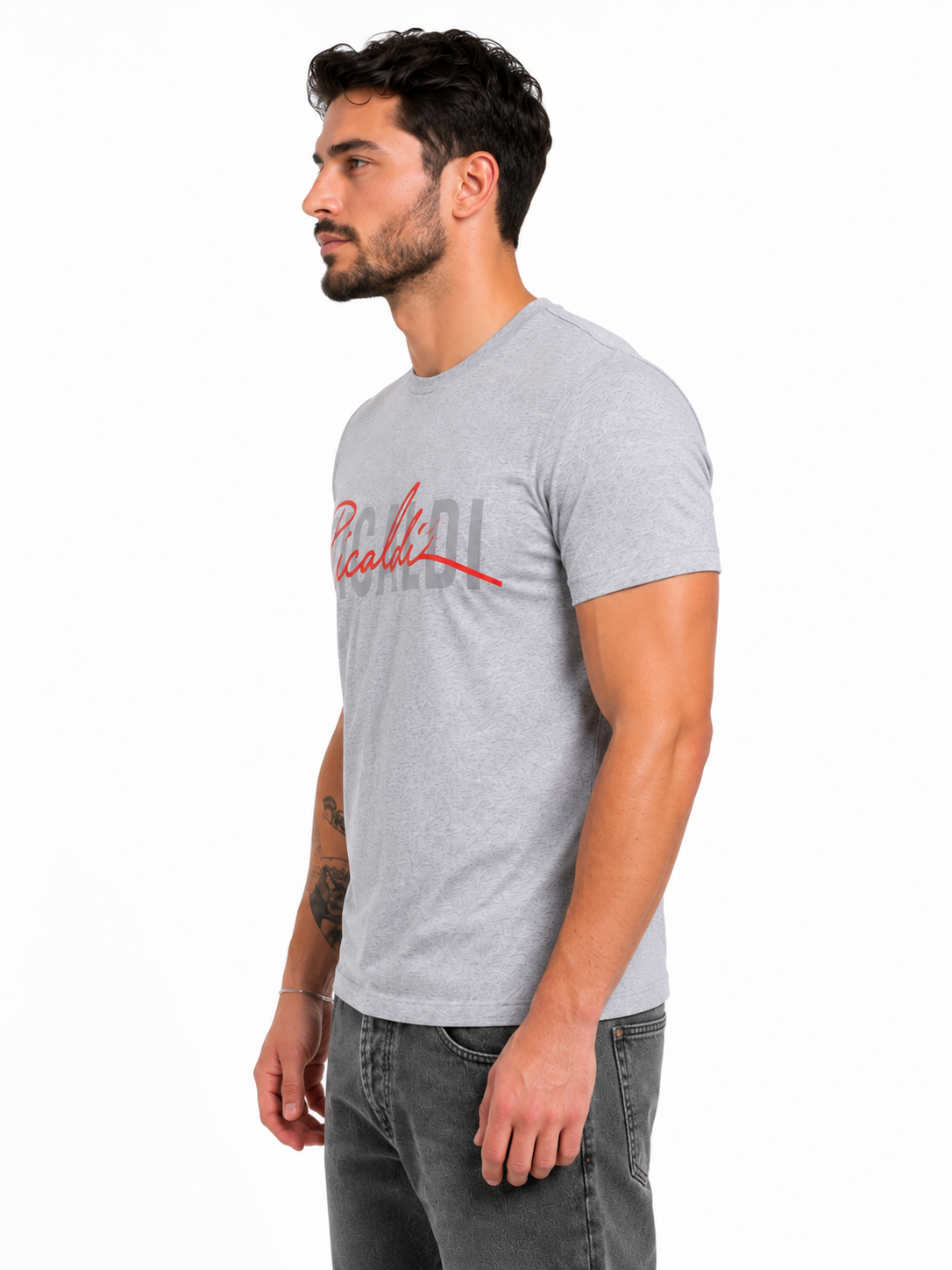 Picaldi Herren T-Shirt Collection grey